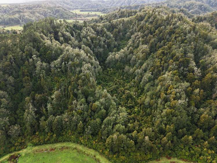 LOT 1 Granite Creek Road_5