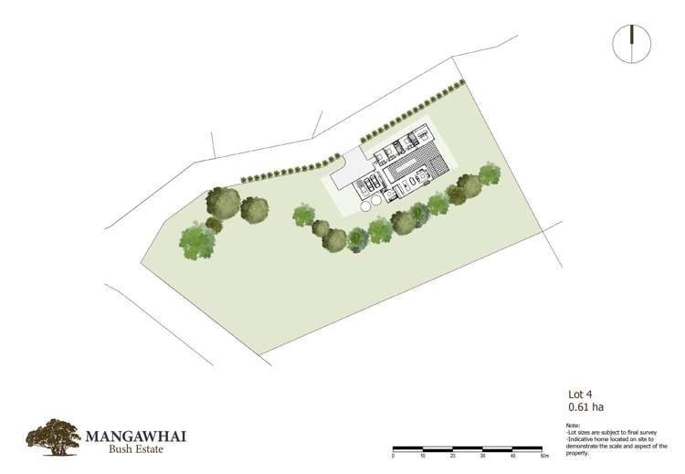 Mangawhai Bush Estate Mangawhai_15