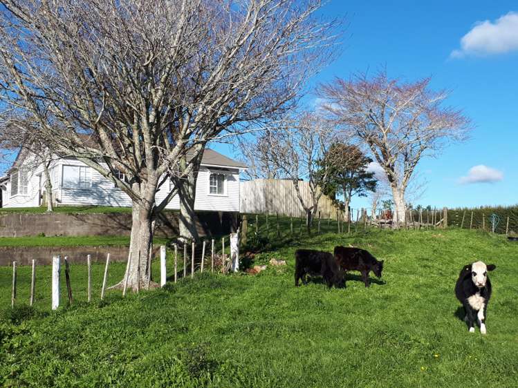 1397 Egmont Road Egmont Village_23