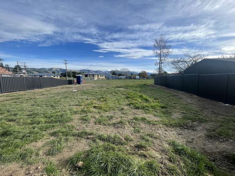 Victoria Street Springfield_9