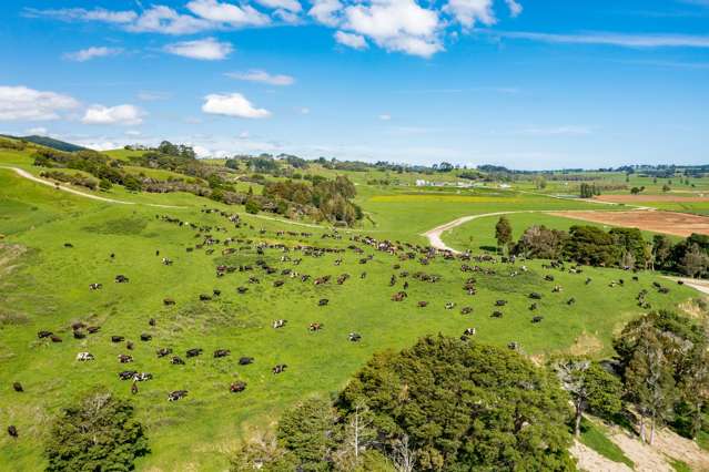 1153 Opanake Road Dargaville Surrounds_4