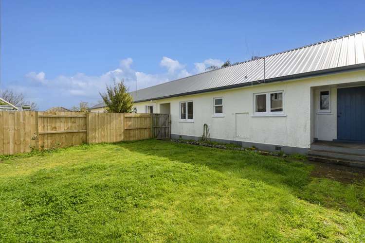 164b Dp Fifteenth Avenue Tauranga South_3