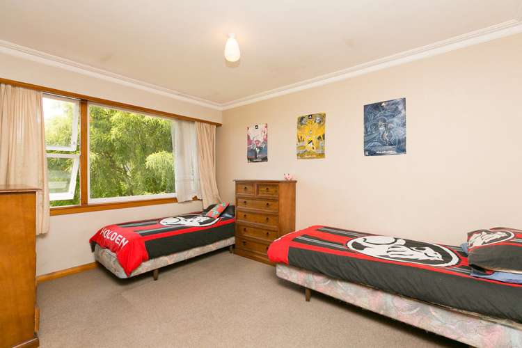 245 Carrington Street Vogeltown_13