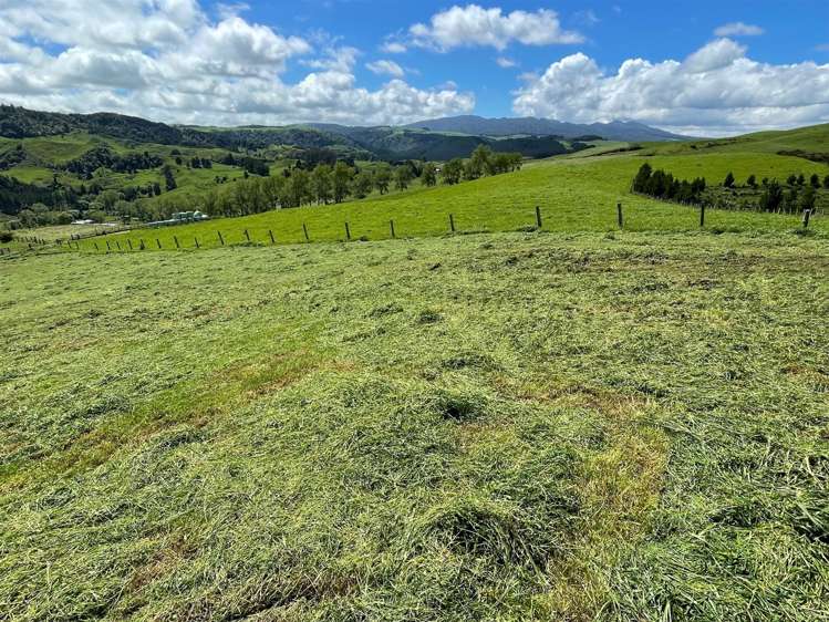 67 Okoko Road Otorohanga_8