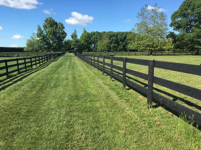 598 Marychurch Road Matangi_1