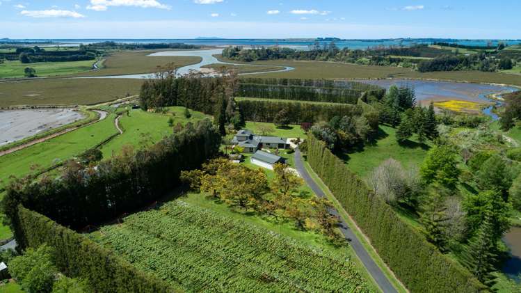 12 Sargent Drive Whakamarama_6