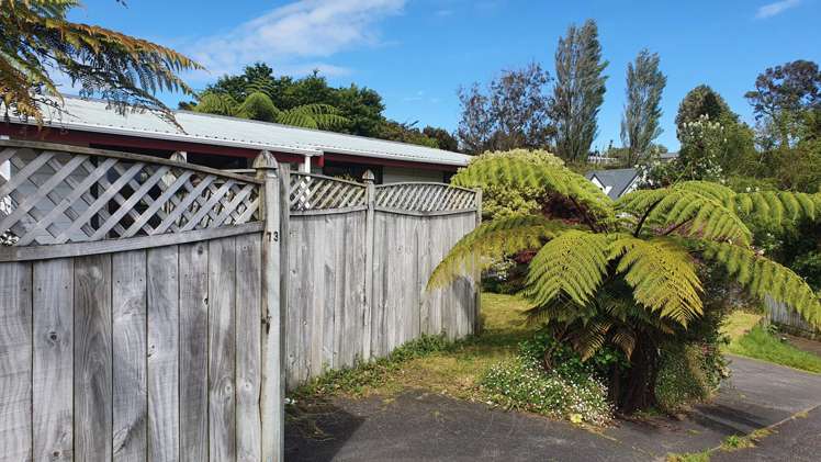 73 Heta Road Highlands Park_14