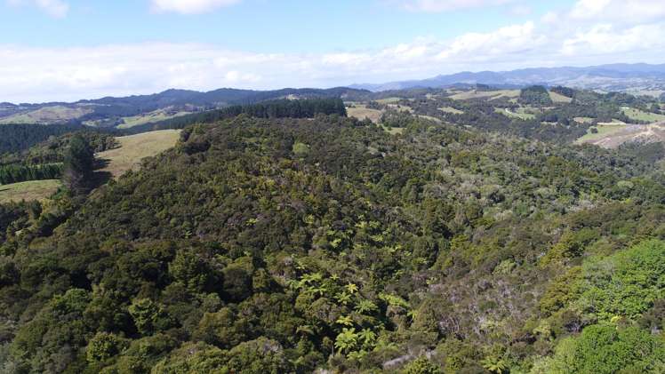 485 Fisher-Riley Road Kaitaia_14