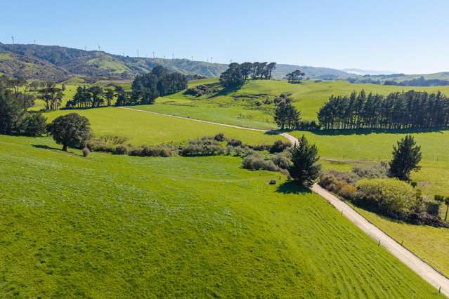 100 Inglis Road Pahiatua_4