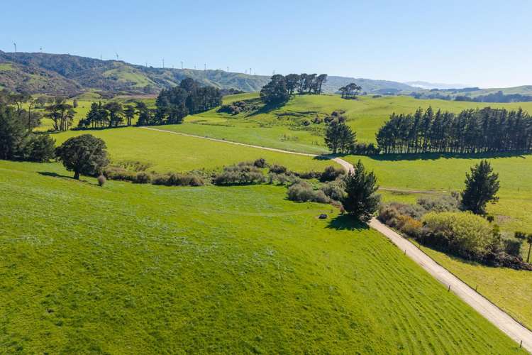 100 Inglis Road Pahiatua_4