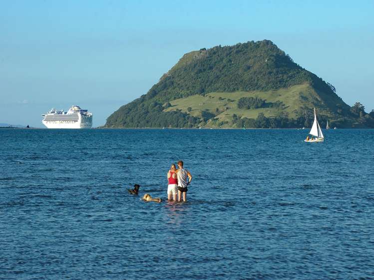 20a Kulim Avenue Otumoetai_23