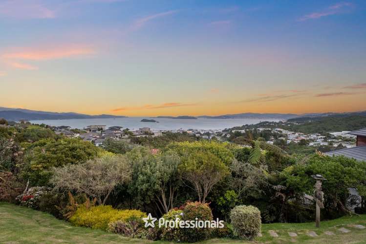 9 Lemonwood Grove Maungaraki_1