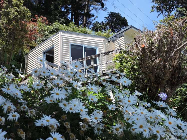 824 Thames Coast Road Te Mata_12