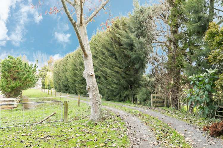 318b Te Kowhai Road Te Kowhai_19