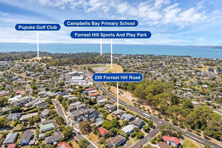 230 Forrest Hill Road Forrest Hill_20