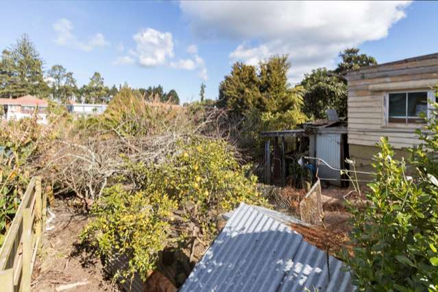 46a Wingate Street Avondale_4