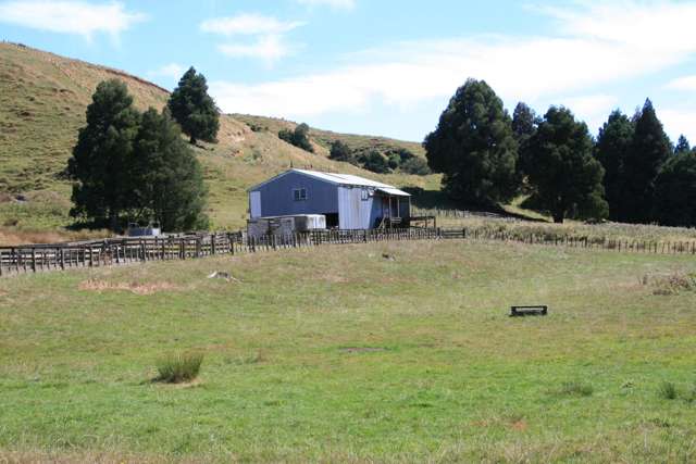 256 Mangamaire Road Matau_1
