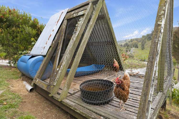 593 Waitomo Valley Road Otorohanga_22