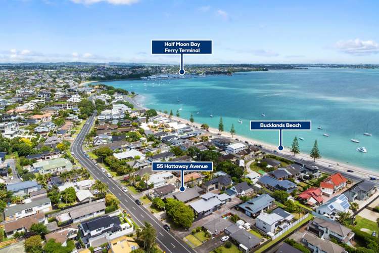 55 Hattaway Avenue Bucklands Beach_23