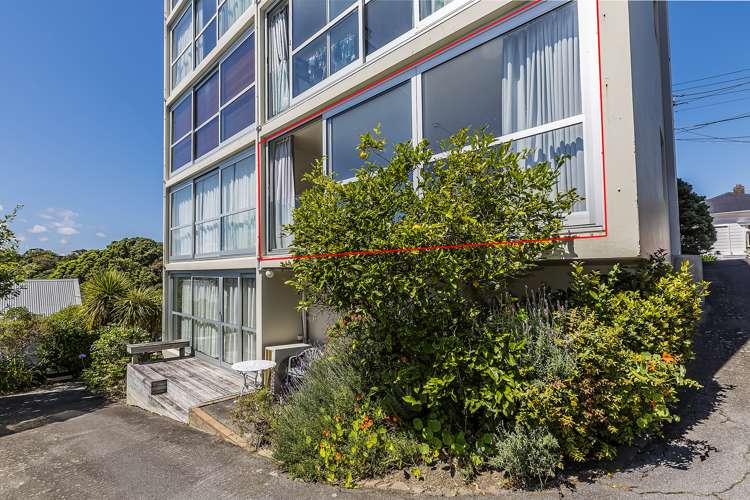 3/24 Patanga Crescent Thorndon_12