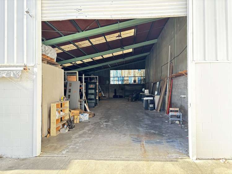 66 Birch Avenue Judea_8