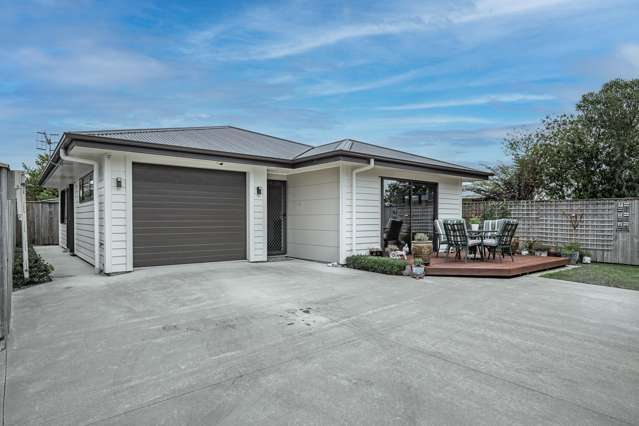 113B Bartholomew Road Levin_1