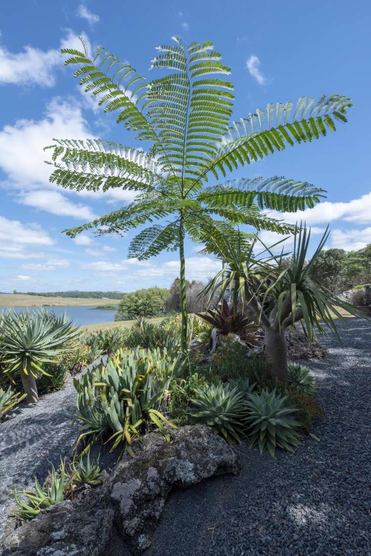 126 Lakeland Lane Pakaraka_16