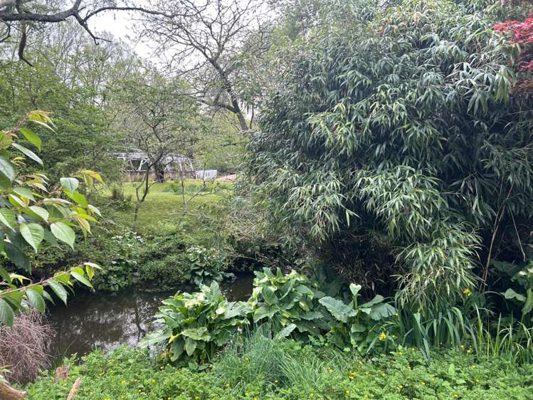 462 Karaka Road Karaka_15