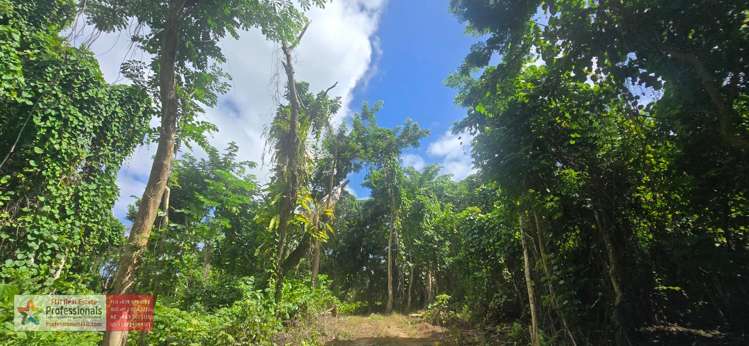 Address withheld Savusavu_11