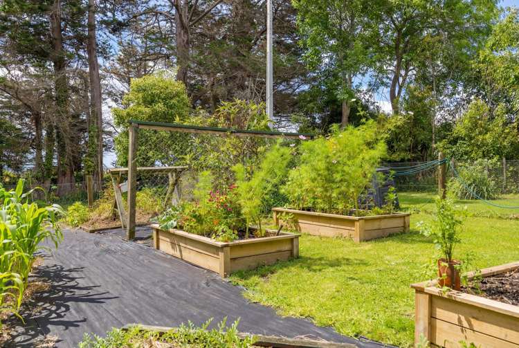 605 Whakapirau Road Whakapirau_15