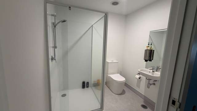 Unit 2, 41 Newton Street Mt Maunganui_3