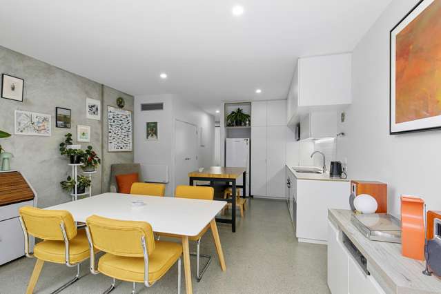 13 Te Ara O Paetutu Petone_4