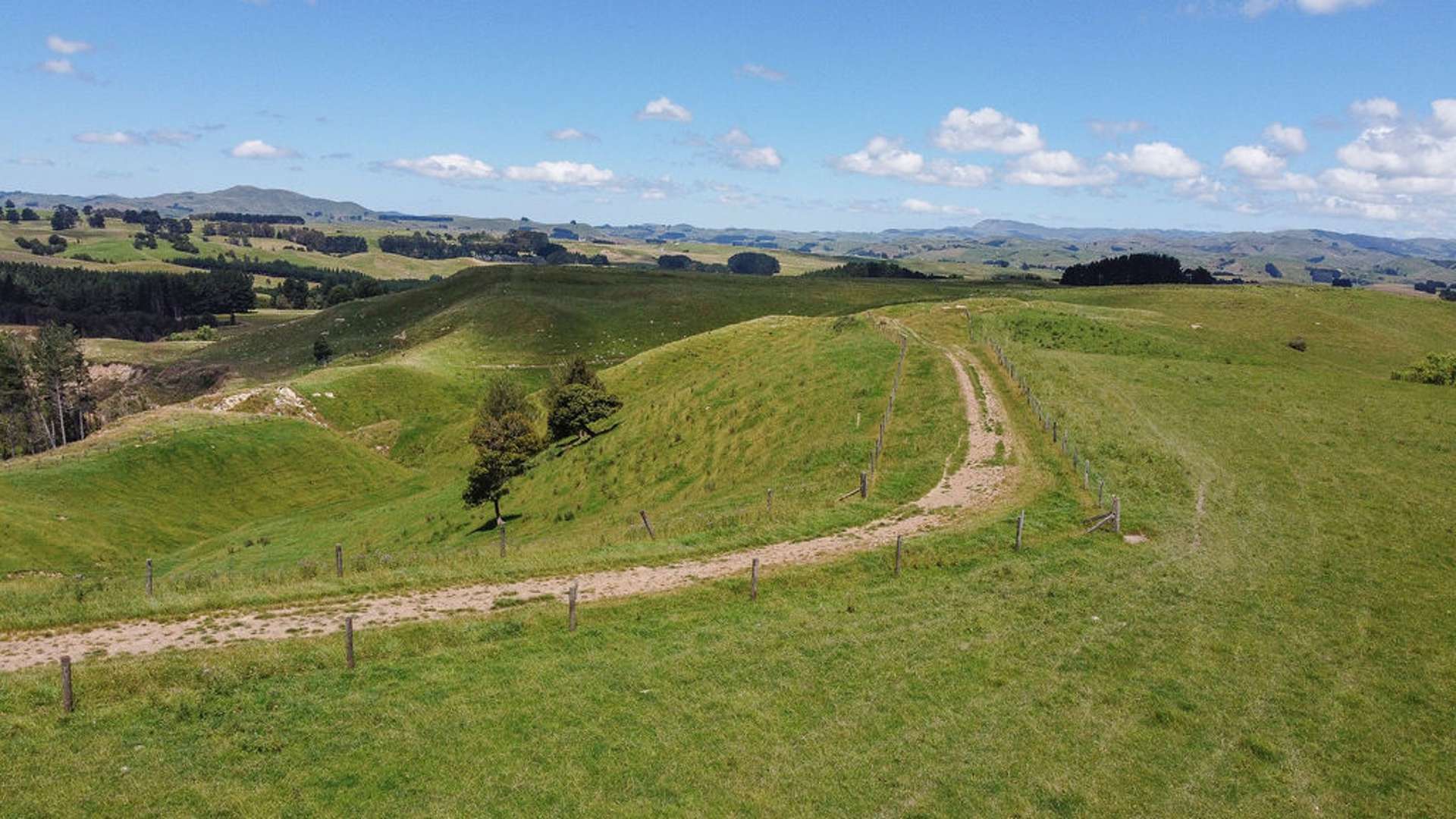 182 Maunga Road Dannevirke_0