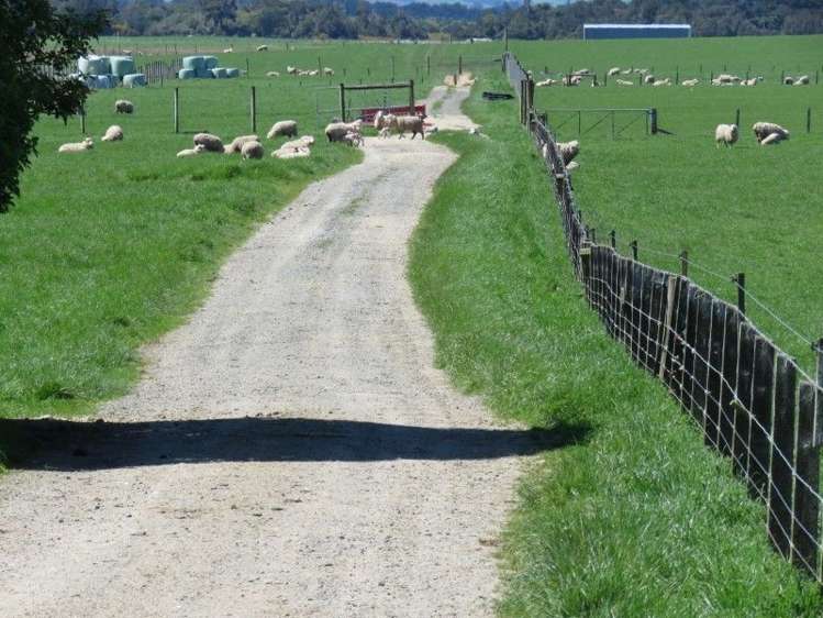 136 Kapuka North Road Wyndham Surrounds_7