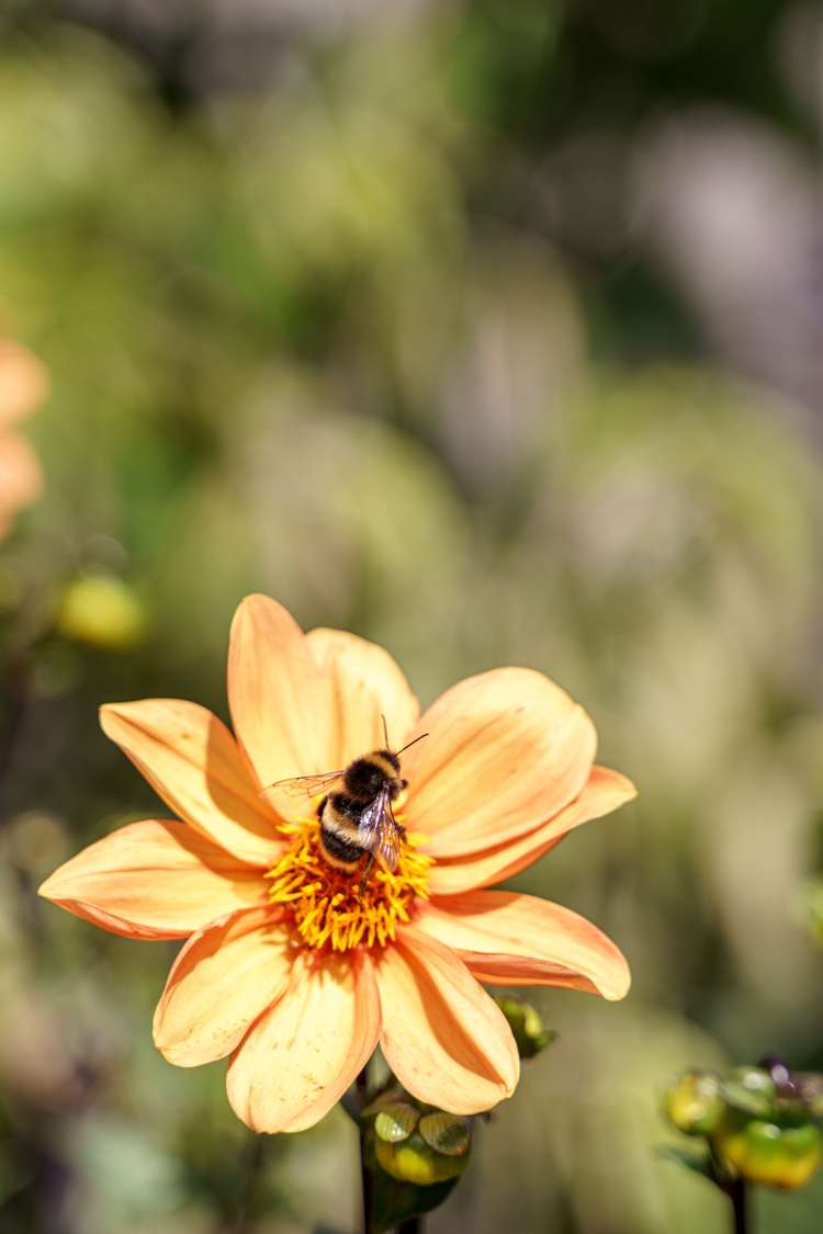 1/361 Main South Road Hornby_18