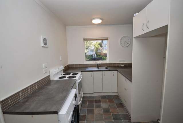 1/101 Balmain Road Birkenhead_4