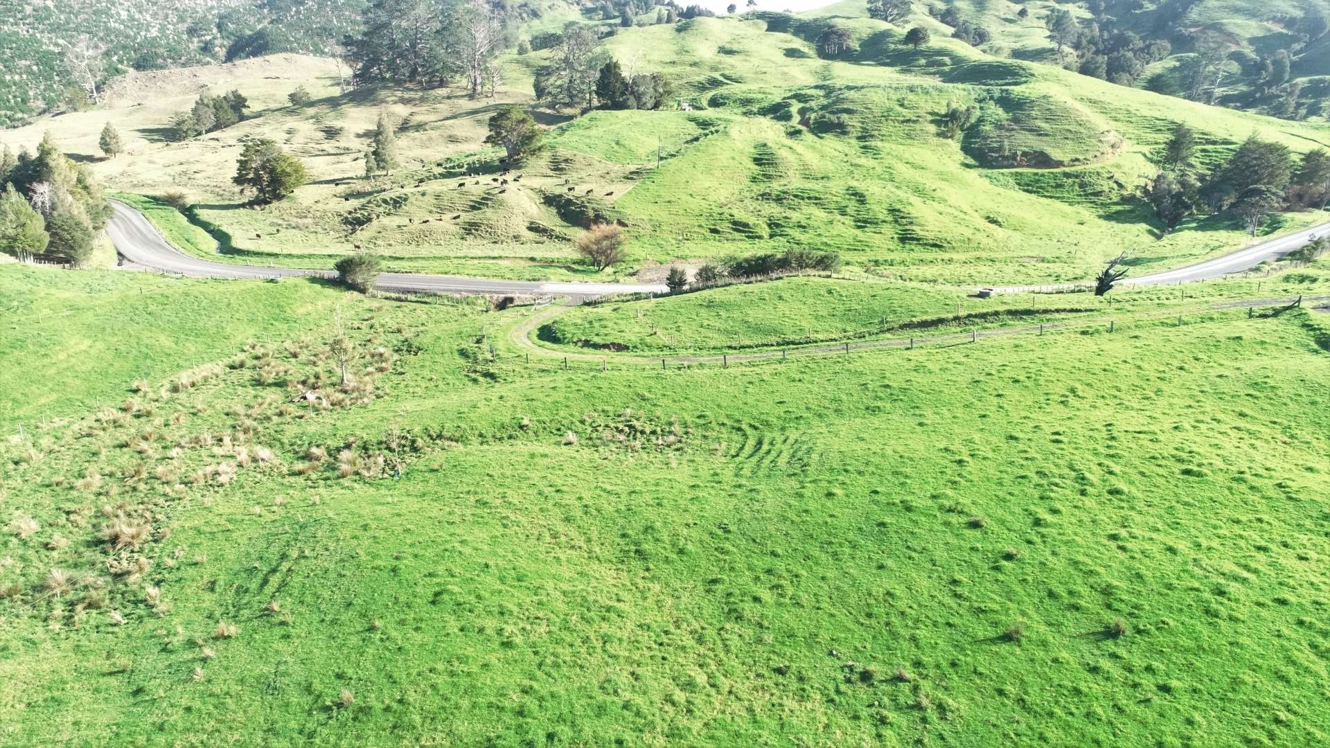 386 Pawarenga Road Broadwood_0