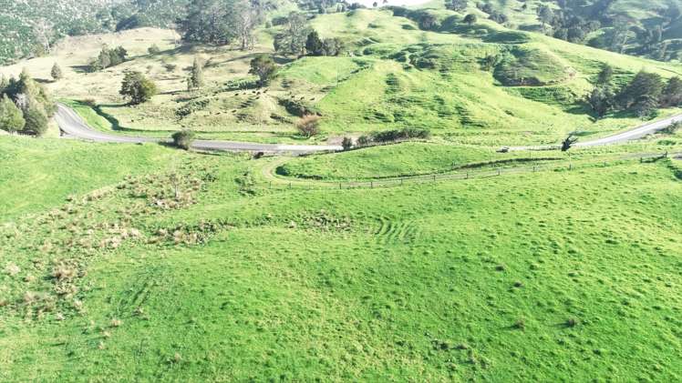 386 Pawarenga Road Broadwood_0