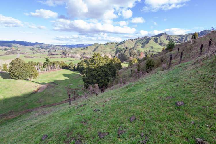 5298 State Highway 4 Waimiha-Ongarue_9