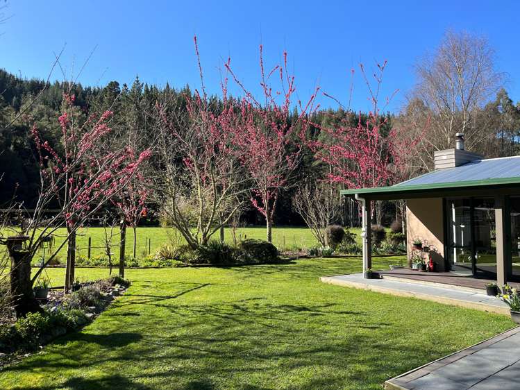 10 Camerons Road Havelock_3