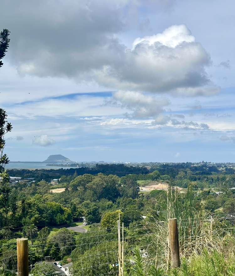 140e Minden Road Wairoa_9