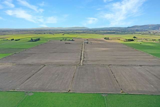 156-160 Campbell Road Opiki_1