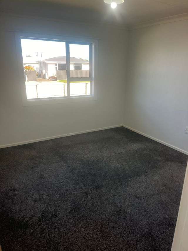 3 Stapleton Street Kingswell_3