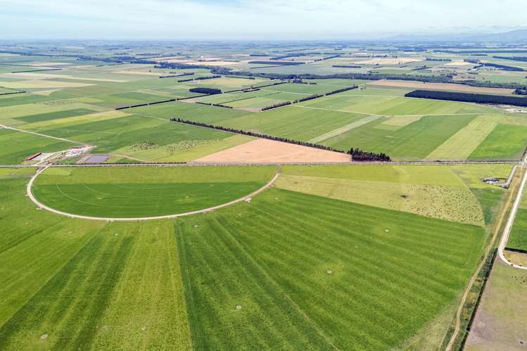 2247 Tinwald Westerfield Mayfield Road Ashburton_7