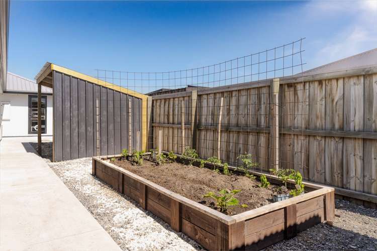 3 Acrasia Street Lincoln_15