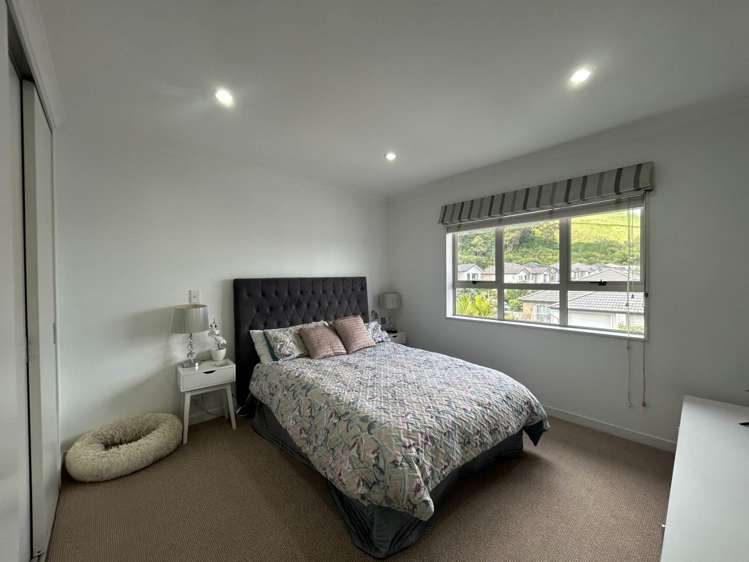 371 College Road Stonefields_7