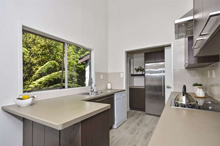 2/101a Balmain Road Birkenhead_5