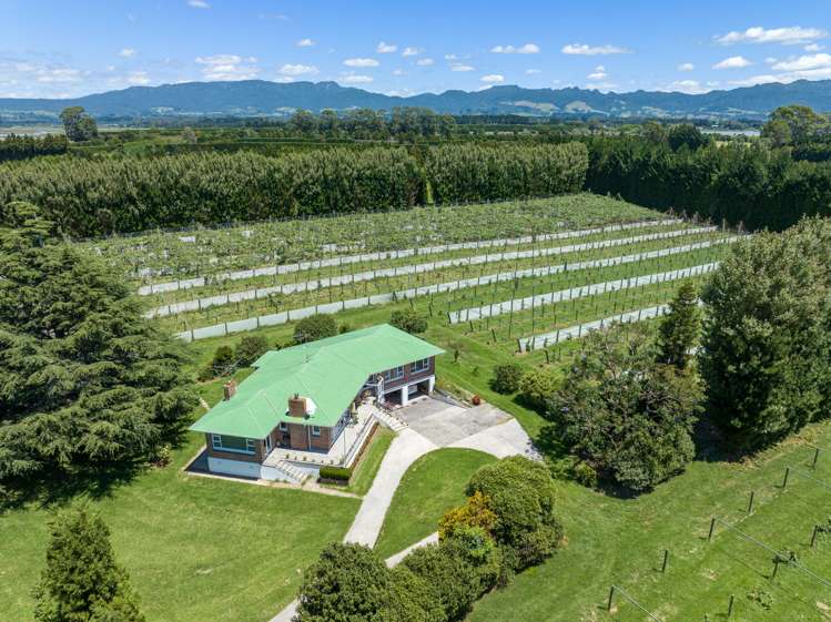 Matahui Road Aongatete_5