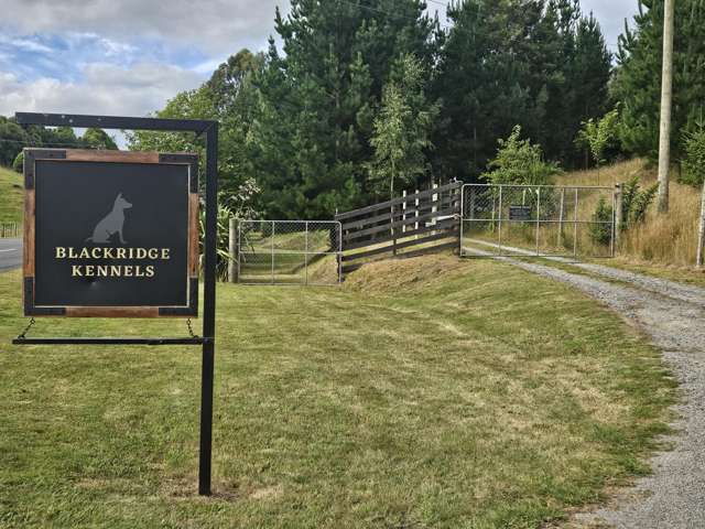 Income and Tranquility on 4 acres