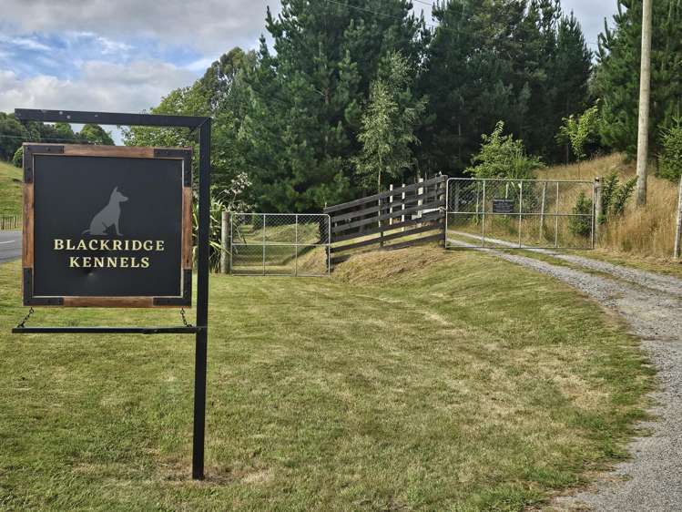 944 Mapara Road Kinloch_0